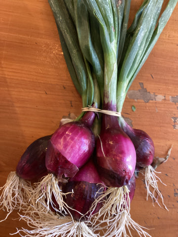 Onions, Red - bunch