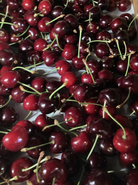 Cherries - certified organic