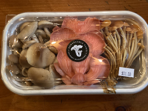 Gourmet Mushrooms - Mixed exotic box