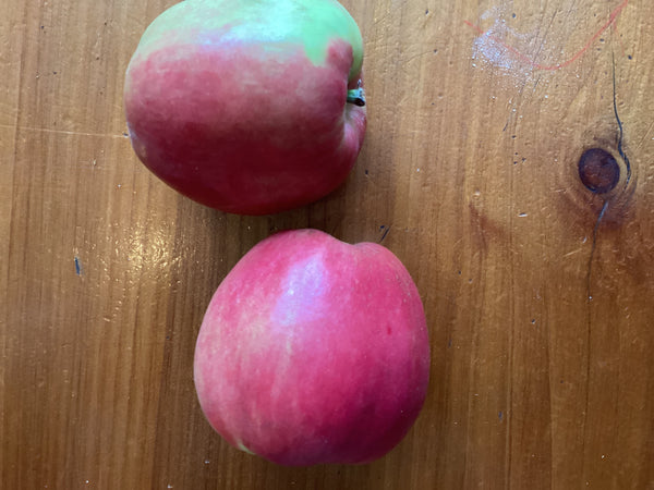 Apples ‘Sunrise’