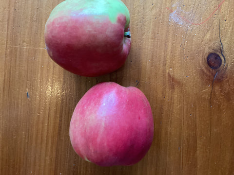 Apples ‘Sunrise’