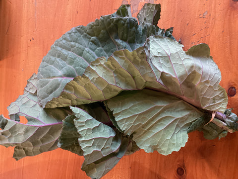 Collard Greens - bunch