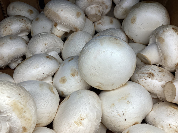 Mushrooms - White button