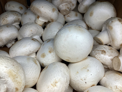 Mushrooms - White button