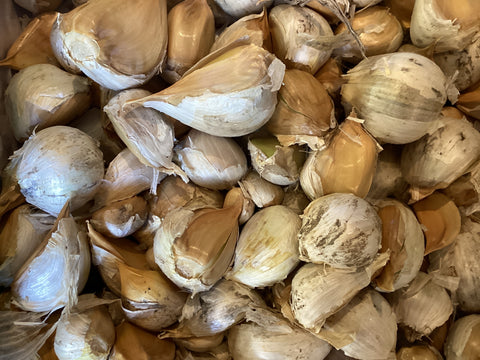 Elephant Garlic 100g