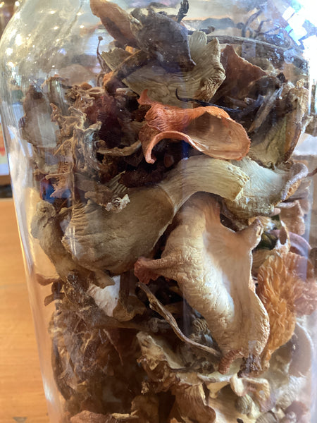 Dried Mushrooms