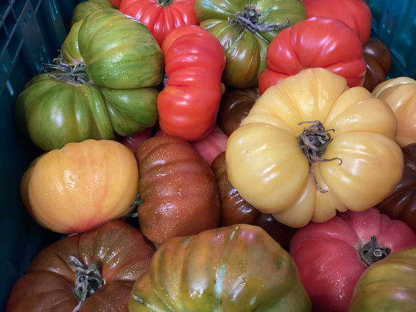 Heirloom Tomatoes