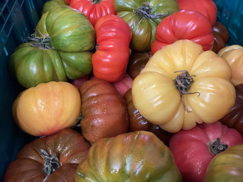 Heirloom Tomatoes