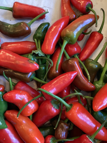 Jalapeño Peppers
