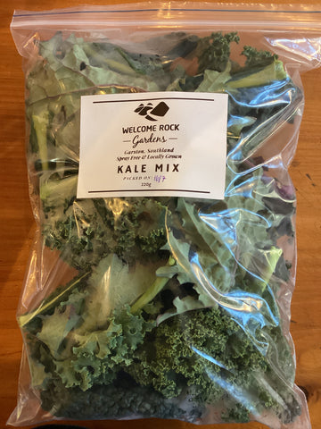 Kale Mix ‘Welcome Rock’