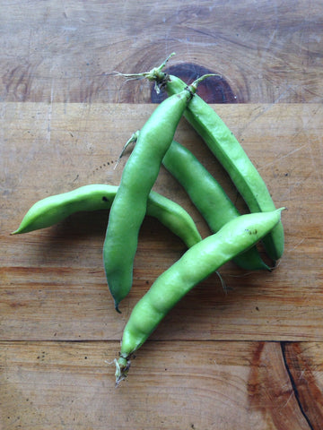 Broad Beans