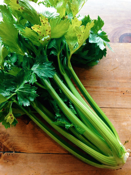 Celery Bunch