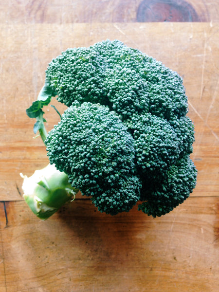 Organic Broccoli | Buy online NZ | Soul Food Organic