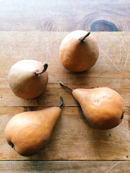 Pears 'Bosc'