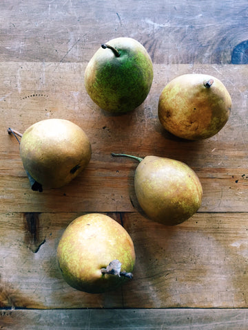 Pears 'Winter Nellis'