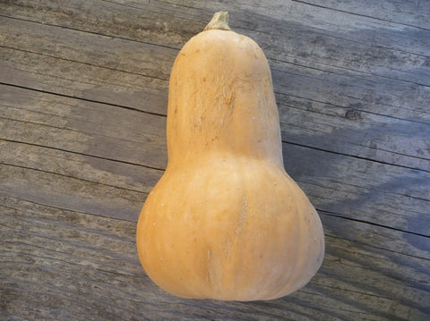 Squash Butternut