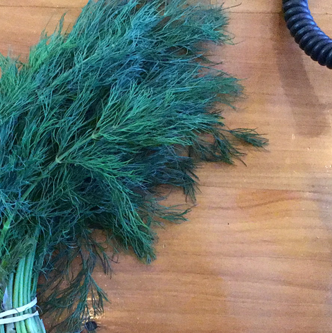 Dill