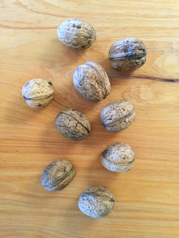 Walnuts - in-shell