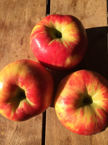 Apples ‘Honeycrisp’