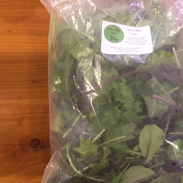 Mesclun - Frog Song Farm