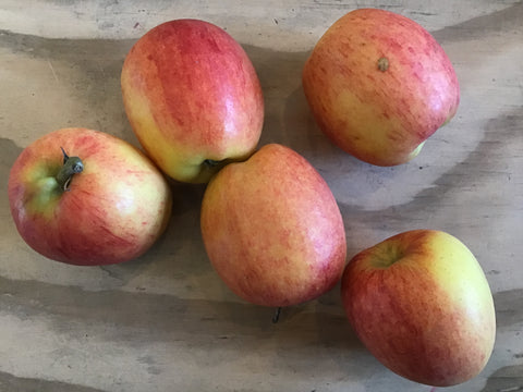 Apples 'Jazz'