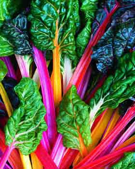 Rainbow Chard | Buy online NZ | Soul Food Organic